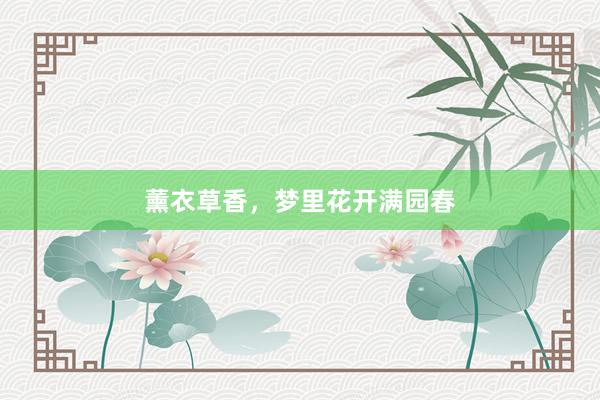 薰衣草香，梦里花开满园春