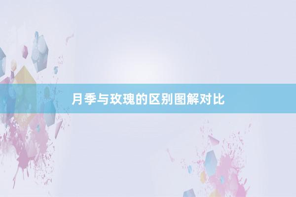 月季与玫瑰的区别图解对比