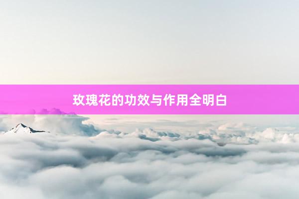 玫瑰花的功效与作用全明白